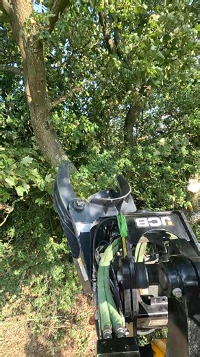 Tree Shear POV #trees #treesurgeon #treeworker #arboriculture #arborist #arb #treeshear #attachment #Construction #JCB #jcbmachines #steelwrist Steelwrist UK JCB Hydradig Fanpage attach2uk | Highway Harper