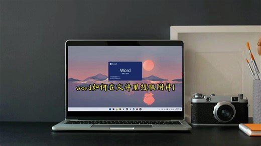 word如何在文件里提取附件1