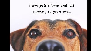 Watch Christmas Land Trailer on Amazon Live