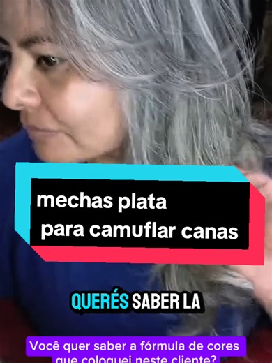 Diseño de Mechas Color Plata para Camuflar Canas