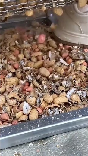 This peanut sheller #PeanutSheller #AgricultureTools#FarmHacks #GardenGadgets #SustainableLiving
