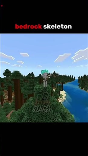 Java skeleton 😵‍💫 Bedrock skeleton 💀