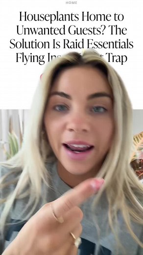 New! Raid Essentials Light Trap for Flying Insects - Review and Test