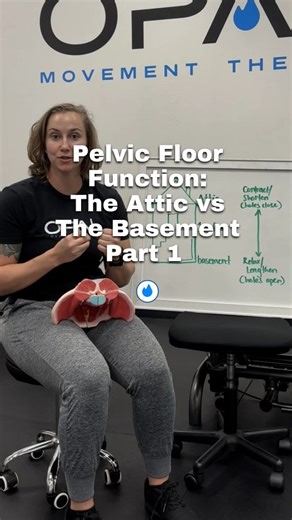 1.3K views · 42 reactions | Pelvic Floor Function: The Attic vs. the...