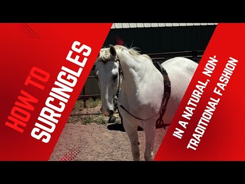 HOW TO // Lunging Surcingles || In a Natural, Non-Traditional Fashion