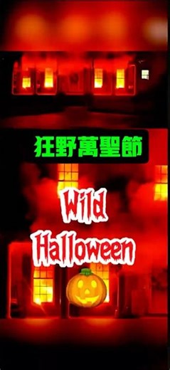 万圣节来啦🎃 Wild Halloween 👻is coming！#halloween #halloween2025