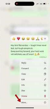 How to pin a WhatsApp message on Iphone? #shorts #reels #everyone