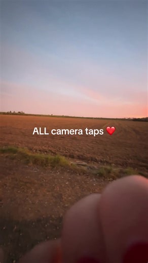 All About Camera Tapping ASMR Sounds