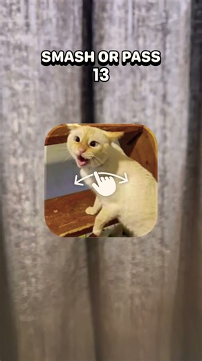 swipe your finger left and right! #イラスト #animation #cute #tocalife