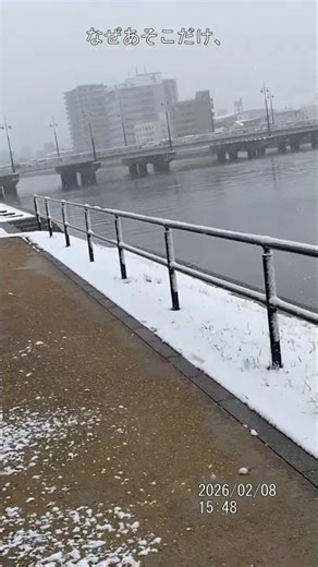 道草176 雪の道草エピソード 33 #散歩 #日記 #植物