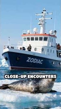 Explore Iceberg Alley: Nature’s Frozen Wonders