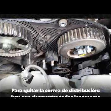 Correa de distribución o correa dentada de motores 1.9sdi
