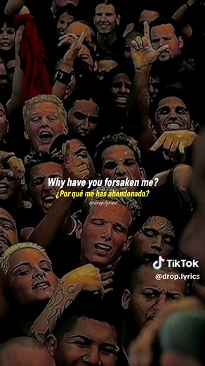 Cuentas recomendadas