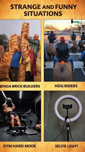 💥This troll face reaction will surprise you and make you laugh at the same time!