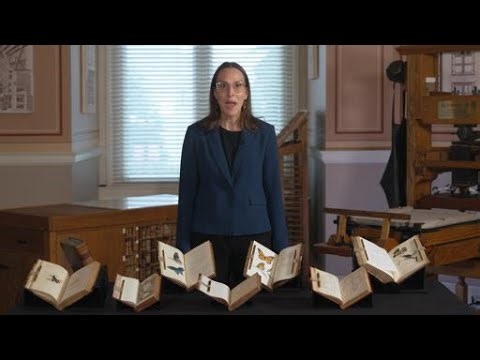 Tiny Creatures, Big Impact: Bugs and American Science