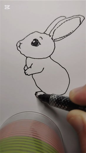 sketching bunny 🐇