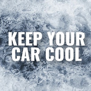 Monthly Deals | The NAPA Network