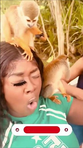 "Animals vs Humans Fail Compilation 2025 😂 | Funny Trending Fails You Can’t Miss!"