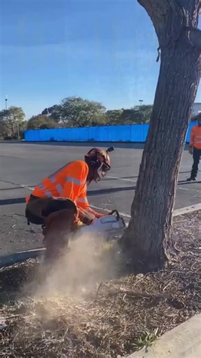 Essential Hardware Tools for Home Renovation