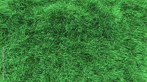 Grass Wind Fast Background Seamless Loop. Element footage easier to adjust color on a seamless loop. Stock Video