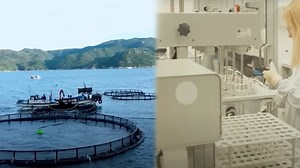 Advancing Aquaculture With Cutting Edge Fish Farming