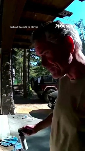 Black bear CHARGES at father outside house #foxnews #news