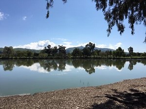 Scenes From Lake Elizabeth: Photos Of The Day