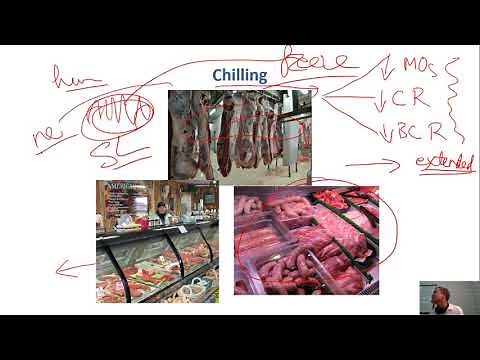 C6-01 chilling and freezing introduction| Meat Technology