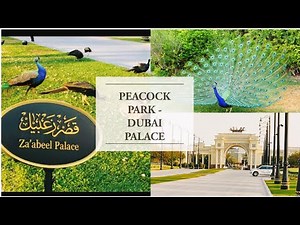 Peacock Park Dubai |Zabeel Palace |Dubai Sheikh Palace|Jumeirah Emirates Towers|Kids Park in Dubai