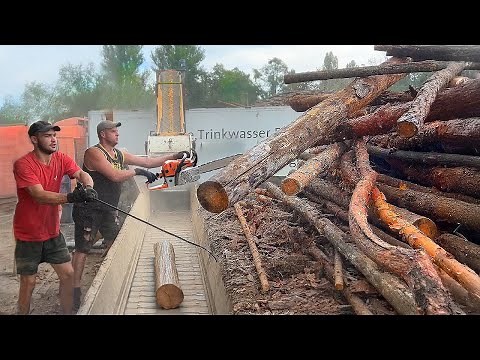 What’s It Really Like to Work with a Wood Chipper? Join the Experience!