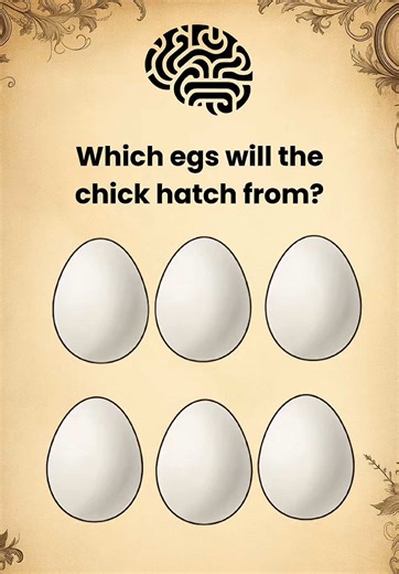 Test Your Intuition: Personality Insights from New York