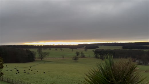 15 reactions | Imagine how fantastic it would be to get exclusive...