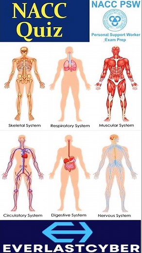 NACC Module 3 | Body System Quiz 👩‍⚕️