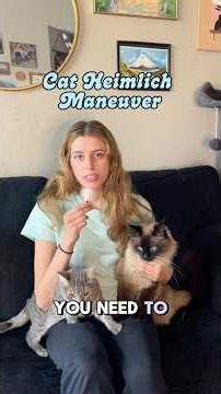 Part 2: What to do if your cat is choking 🚨🐈 Heimlich maneuver #catheimlich #catcpr