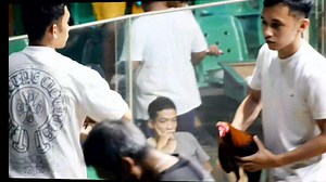 3.4K views · 57 reactions | BAKBAKAN 12-STAG DERBY 3-STAG ELIMS. BCL 888 VS. DREAMER BCL 888 - WIN 1st Fight Video Covered: Robinson Laroa | Robinson Laroa | Facebook