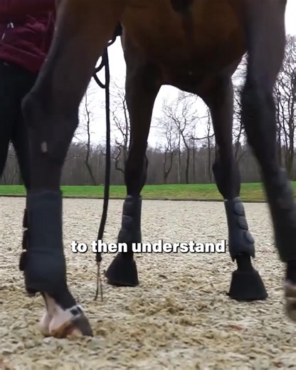 1.8K views · 373 reactions | Your body language changes how your...