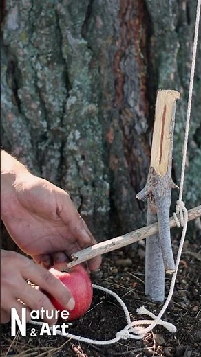 Survival Traps Tricks #bushcraft #survival #camping #outdoors