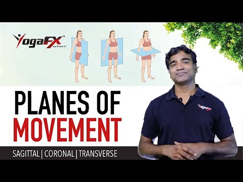 Planes of Movement in Yoga Practice, Frontal, Sagittal, Online Yoga Anatomy Course for Yoga Teachers