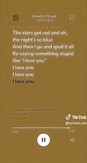 Something Stupid - Frank Sinatra | Lyrics and Music