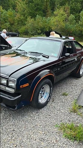 1979 AMC AMX 304 V8 #americanmotorscorporation #amc #amx