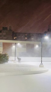 9.3K reactions · 829 shares | Snowstorm ❄️.. #toronto #ontario #canada@Das Das | Das Das | Facebook