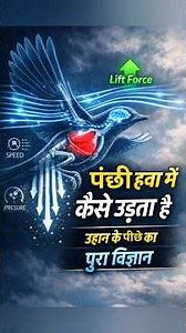 How Birds Fly | The Complete Science of Flight #BirdFlight #ScienceOfFlight #HowBirdsFly #short