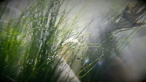 4K views | TEASER OF THE EPIC & STUNNING NEW VIDEO FROM ONE OF OUR FAVOURITE BANDS AT @deroarcade - THE MIGHTY @divideanddissolve - CHECK OUT THE FULL VIDEO: https://youtu.be/NfISGdX4wgY  | DERO ARCADE | Facebook