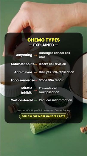 CHEMO TYPES — explained —