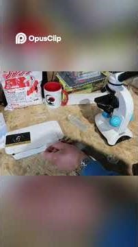 Fish Scraping Under Microscope See What's Living! #pondmaintenance #pondcare