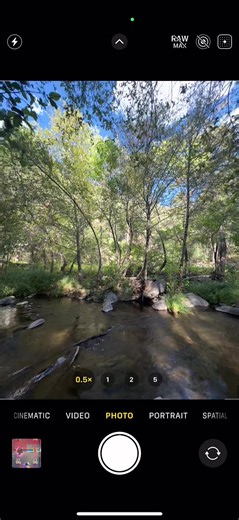 Hehehehaw #fyp #nature #clashroyale