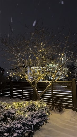 Magical Winter Wonders in Latvia