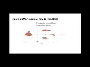 UMAP Basics for Cytometry