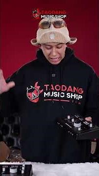 🔥Audio Interface รุ่นใหม่จาก SSL ! น่าซื้อหรือไม่? | รีวิว ออดิโออินเตอร์เฟส SSL2, 2+ MKII | เต่าแดง