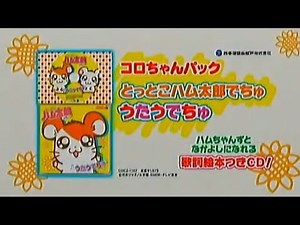 Hamtaro DVD Dos and Donts